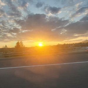 Meet your Posher, Brayden